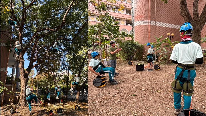 萬和閱世界：多元展能．夢想啟航——攀樹